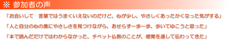「お会いして　言葉ではうまくいえないのだけど、心が少し、やさしくあったかくなった気がする」「人と自分の心の奥にやさしさを見つけながら、あせらず一歩一歩、歩いてゆこうと思った」「本で読んだだけではわからなかった、チベット仏教のことが、感覚を通して伝わってきた」